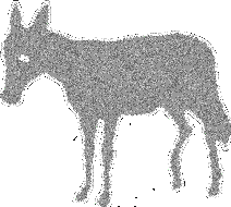 donkey