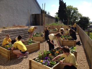 Tomregan School garden