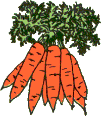 Carrots