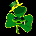 Paddy Shamrock