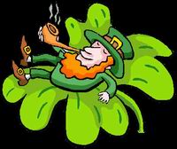 Leprechaun sitting on shamrock