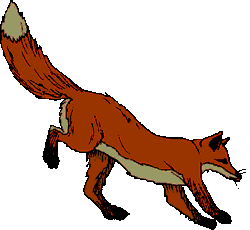 fox