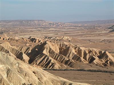 Sinai Wildernes