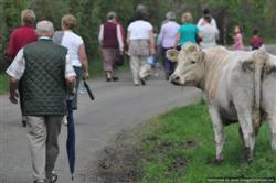 Easter week church walk