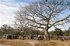 Chaco Homes