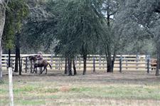 Rancher at work